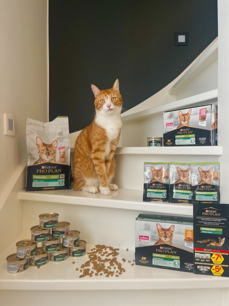 Mijn kat poseert naast Pro Plan kattenbrokken tijdens een samenwerking